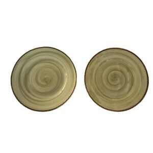 Set Of 2 Thomson Pottery China AMAZON 10.75” Dinner Plates Green Swirl Brown Rim